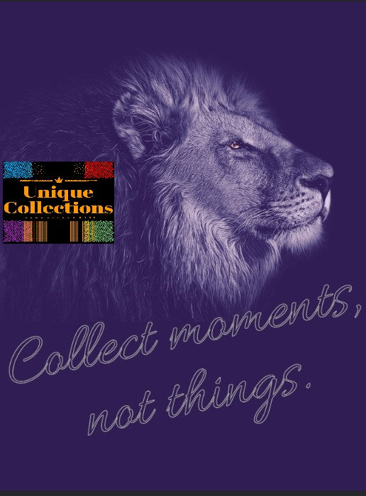 Collect moments, not things -All-in-One Bundle-