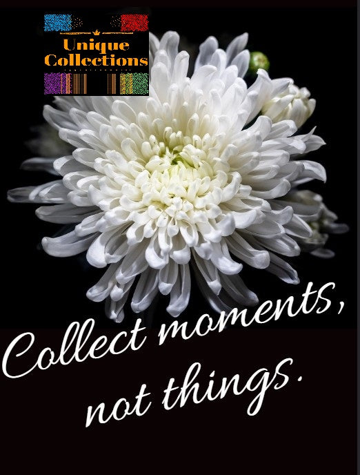 Collect moments, not things -All-in-One Bundle-
