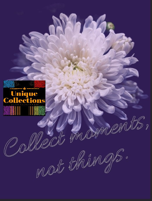 Collect moments, not things -All-in-One Bundle-