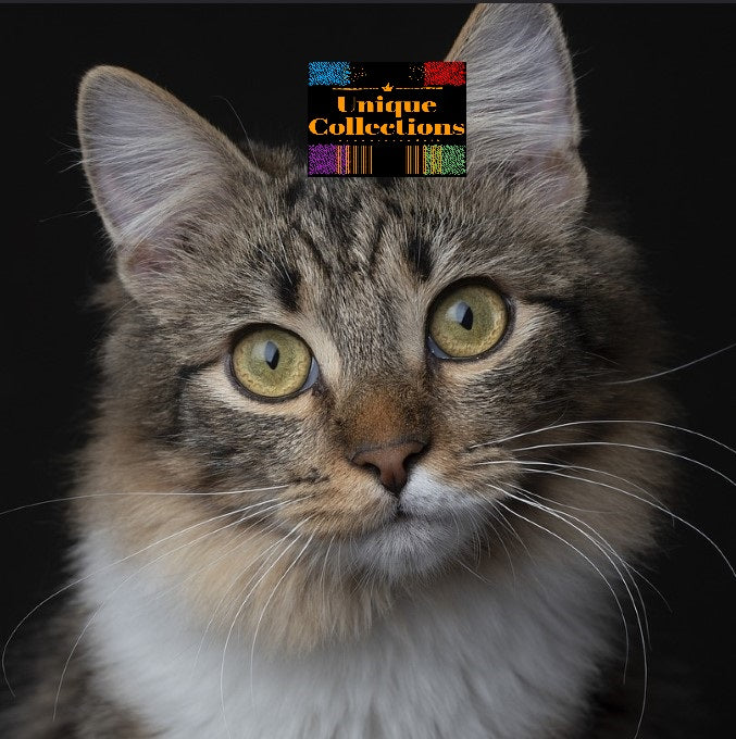 Animals 1 -All-in-One Bundle-
