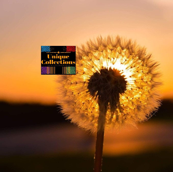 Sunset -All-in-One Bundle-