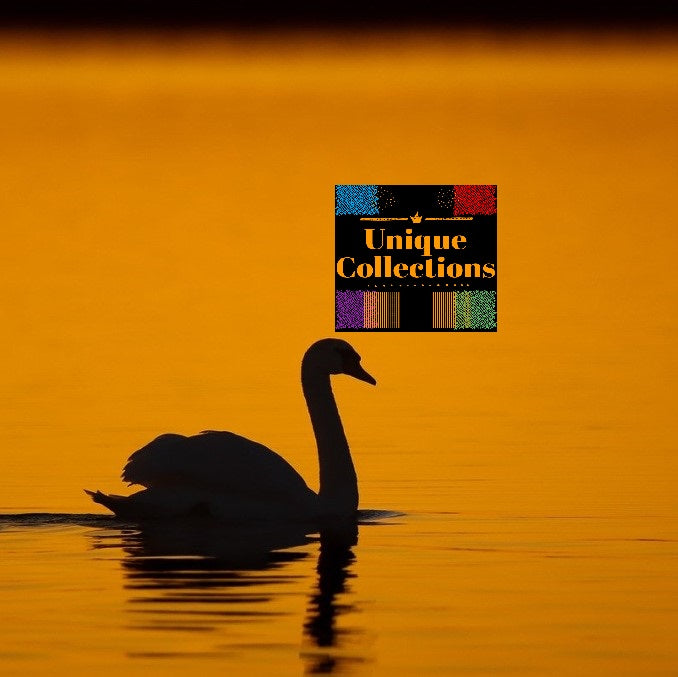 Sunset -All-in-One Bundle-